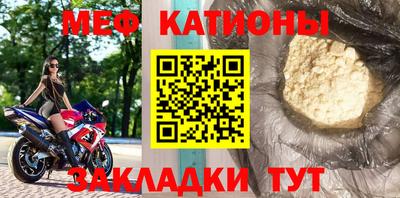 прущие грибы Брянск