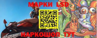 прущие грибы Брянск