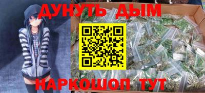 прущие грибы Брянск