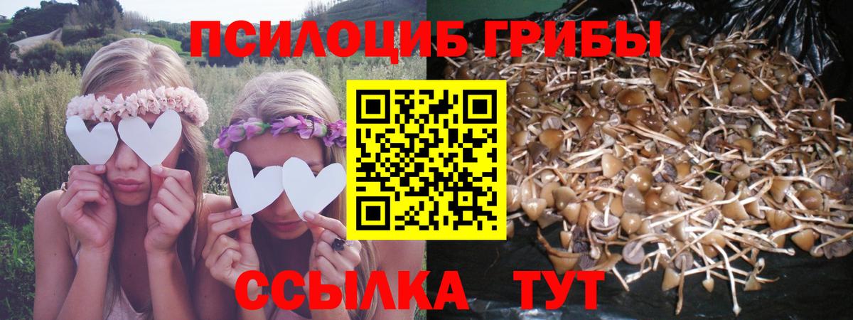 Галлюциногенные грибы мицелий Кинель